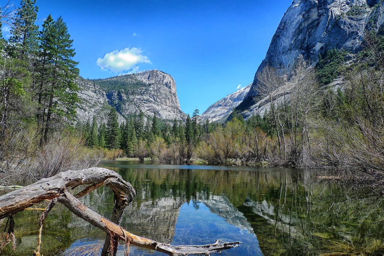 The Ultimate Guide to Scenic Drives in Utah’s National Parks